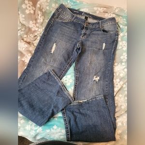 Lane Bryant Bootcut Jeans